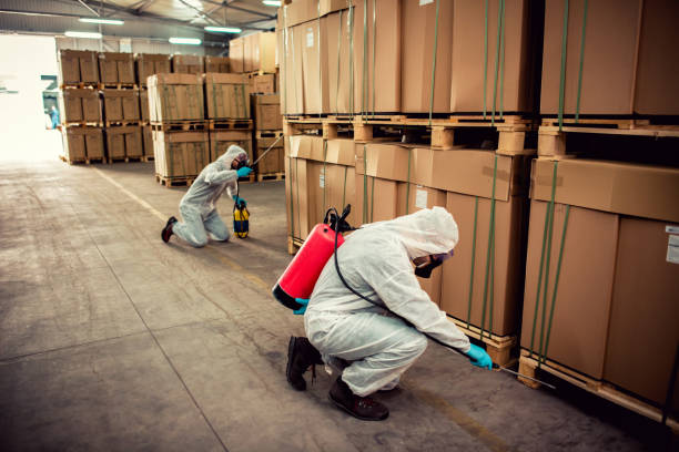 Best Best Pest Control Companies  in Kent, OH