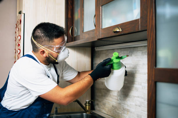 Best Termite Control Services  in Kent, OH