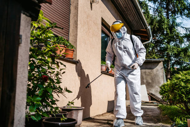 Best Affordable Pest Control Services  in Kent, OH