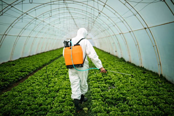 Best Best Pest Control Companies  in Kent, OH