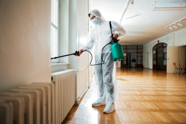 Best Flea Control Services  in Kent, OH