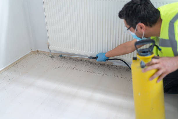 Best Ant Control Services  in Kent, OH