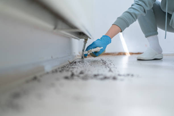 Pest Control Cost in Kent, OH